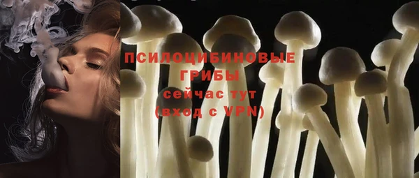 мдма Горняк