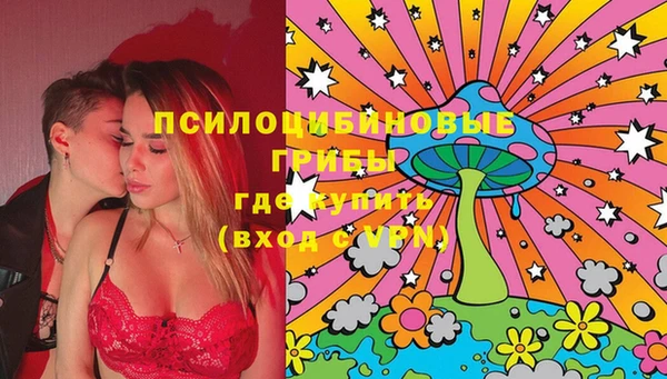 бошки Горнозаводск