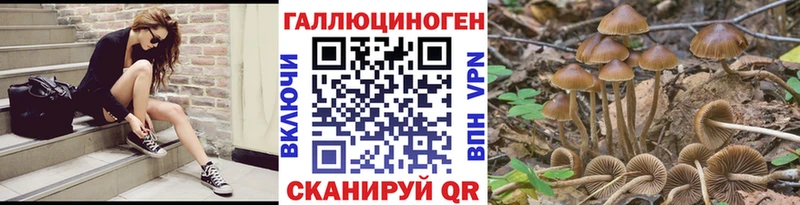 kraken маркетплейс Евпатория Псилоцибиновые грибы Psilocybe купить наркотики сайты